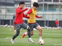 万博max网页版-法兰克福对费赖堡